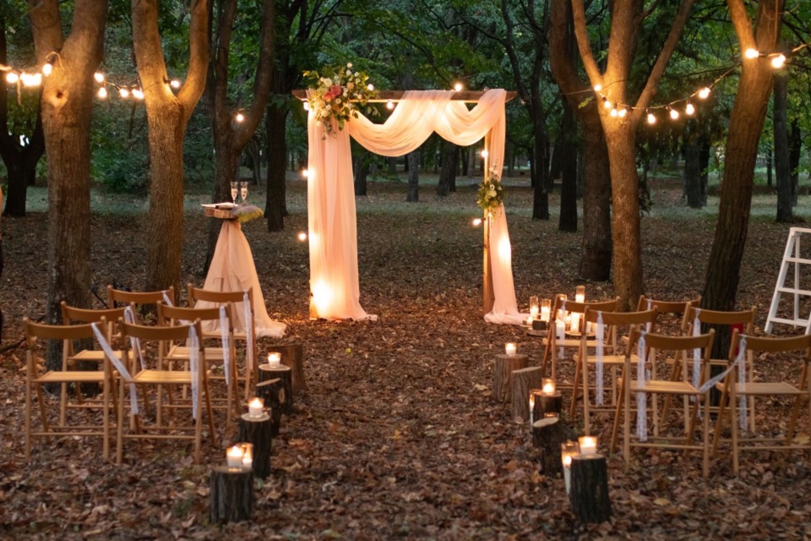 nocny svadobny obrad v lese